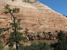 Zion National Park