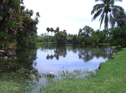 Fairchild Tropical Garden
