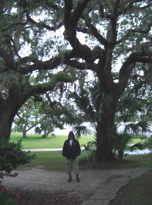 Washington Oaks State Garden
