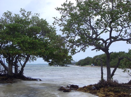 Bahia Honda Key State Park

