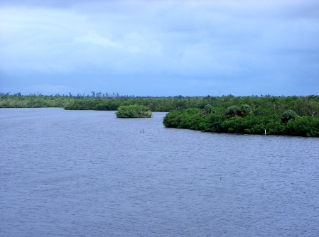 J.N. Ding Darling National Wildlife Refuge
