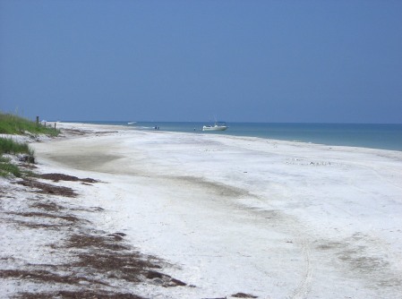 Schlüsselwörter: Caledesi Island