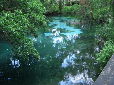 Juniper Springs Park
