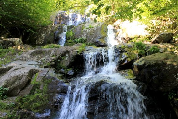 Shenandoah National Park 	Dark Hollow Falls 
