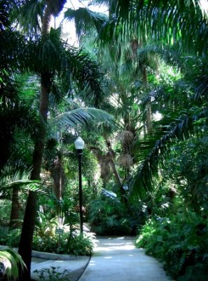 St. Petersburg Sunken Garden
