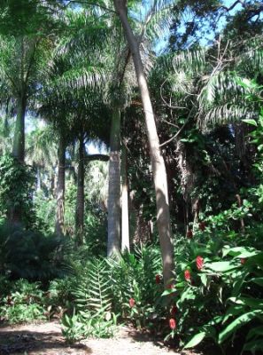 St. Petersburg Sunken Garden
