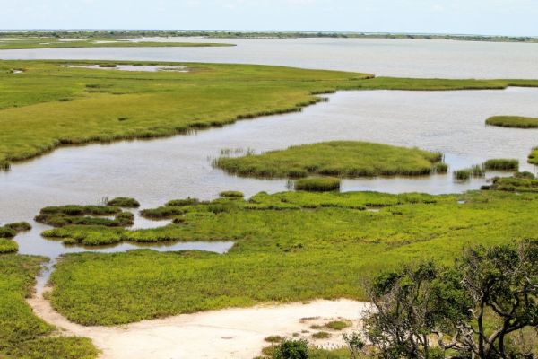 Aransas National Wildlife Refuge
Schlüsselwörter:  