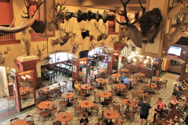 The Buckhorn Saloon & Museum, San Antonio
