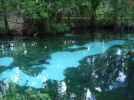 Juniper Springs im Ocala National Forest