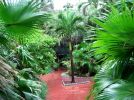 Miami Beach  Garten Holiday Inn