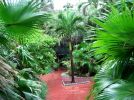 Miami Beach  Garten Holiday Inn