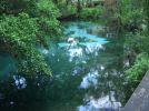 Juniper Springs Park