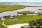 Aransas National Wildlife Refuge