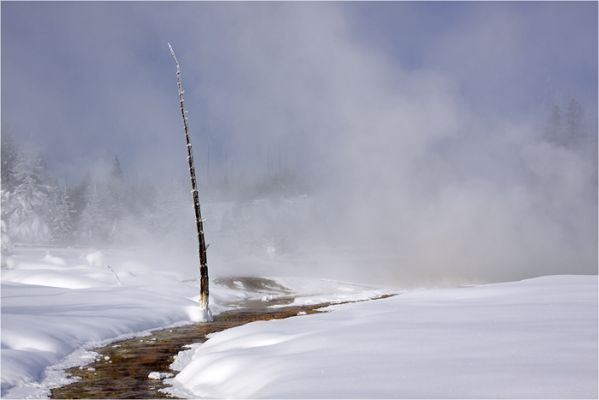 Winter in Yellowstone
