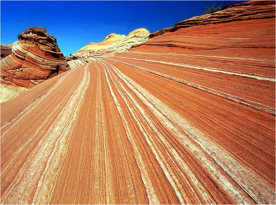 Rot und Weiß
Detail in den Coyote Buttes North
Schlüsselwörter: Wave, Coyote Buttes