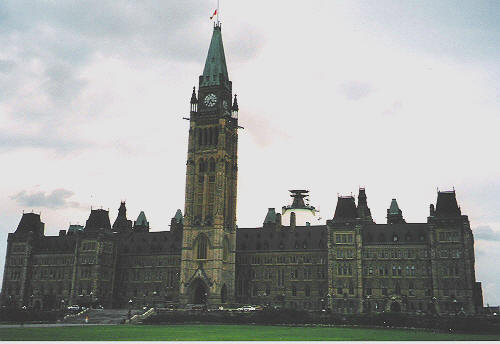 419.jpg