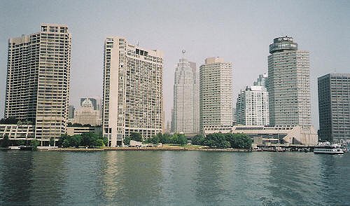 443.jpg