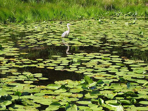 GEAT LAKES 3 091.JPG