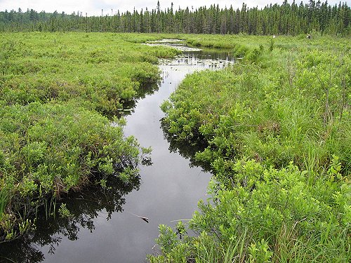 GEAT LAKES 3 111.JPG