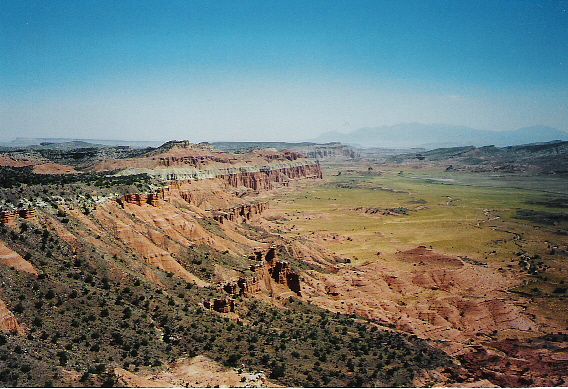 cathedral4.jpg
