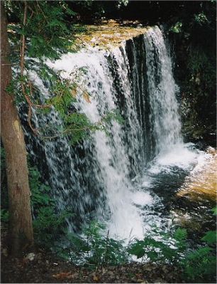 435.jpg