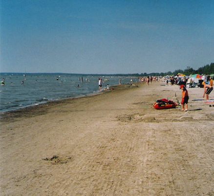 438.jpg