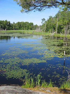 GEAT LAKES 3 092.JPG