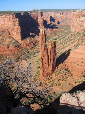 IMG_1020.JPG