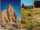 Cathedrals1.jpg