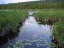 GEAT LAKES 2 071.JPG