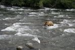 Alaska_(Canon)_103.jpg