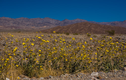 20070306-_MG_4368.jpg