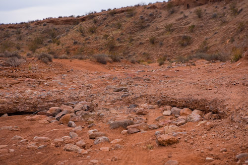 20070309-_MG_4681.jpg