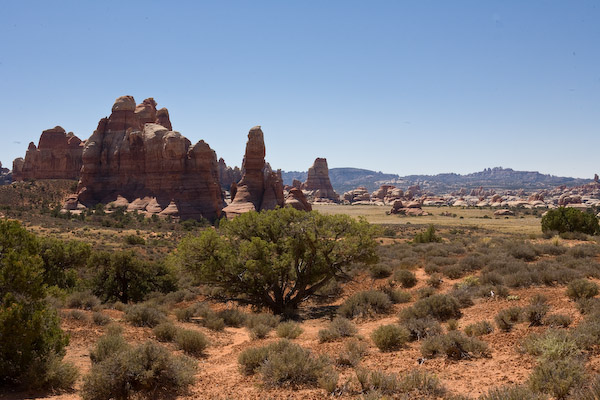 20080915-_MG_1483.jpg