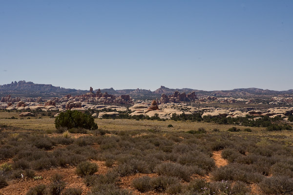 20080915-_MG_1484.jpg