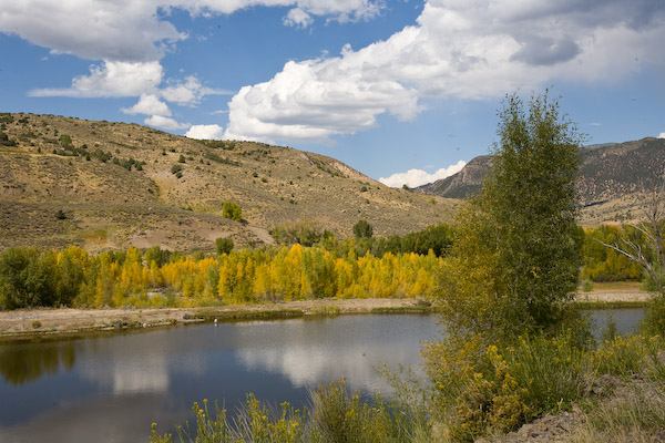 20080918-_MG_1862.jpg