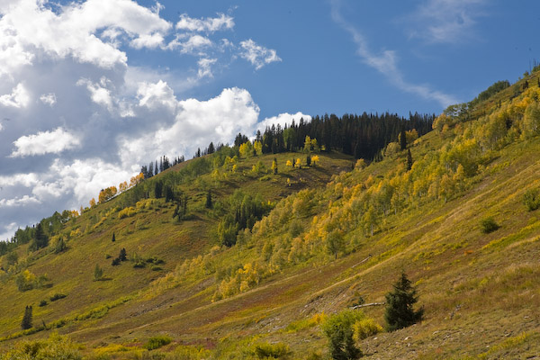 20080918-_MG_1890.jpg