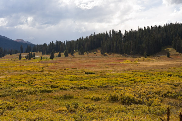 20080918-_MG_1891.jpg