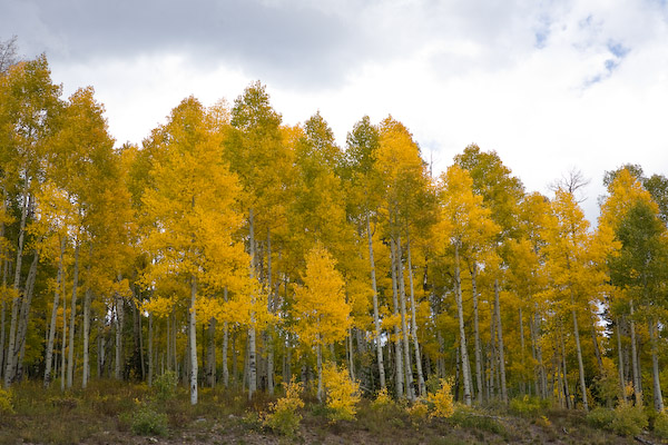 20080918-_MG_1896.jpg
