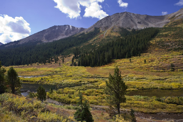 20080921-_MG_2255.jpg