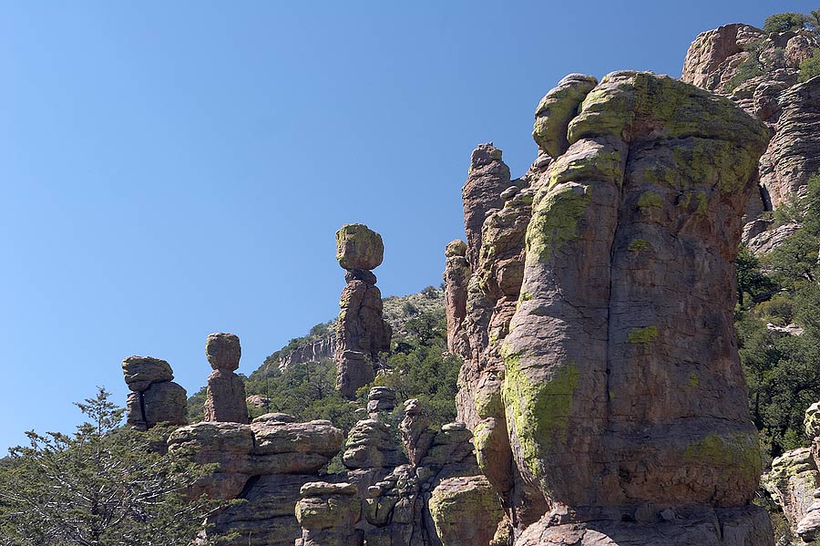 Chiricahua04.jpg