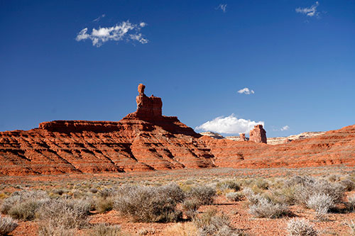 _MG_2525.jpg