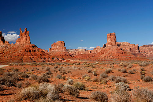 _MG_2536.jpg