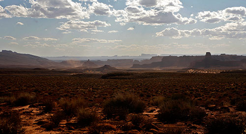 _MG_2547.jpg