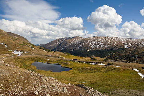 _MG_2566.jpg