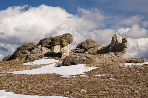 _MG_2577.jpg