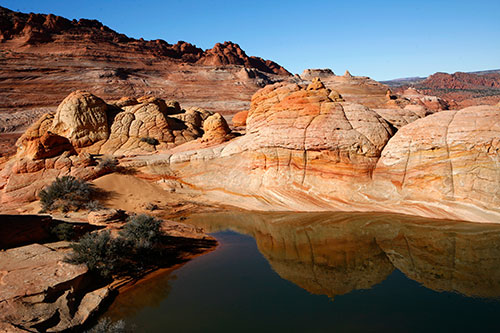 _MG_3065.jpg