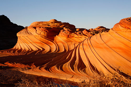 _MG_3240.jpg