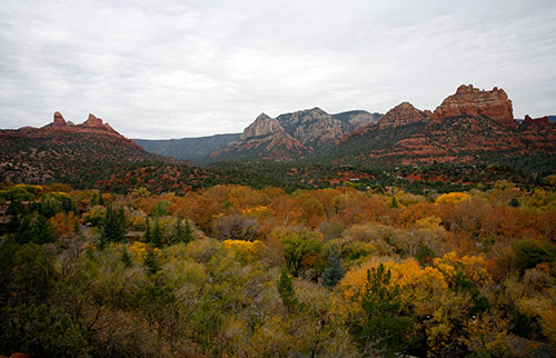 _MG_3392.jpg
