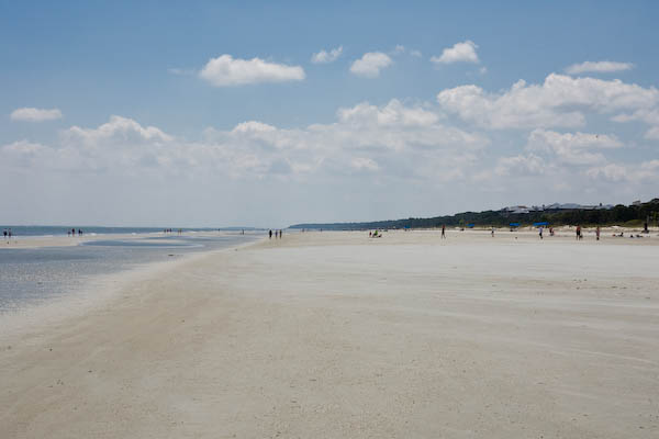 _MG_8805.jpg